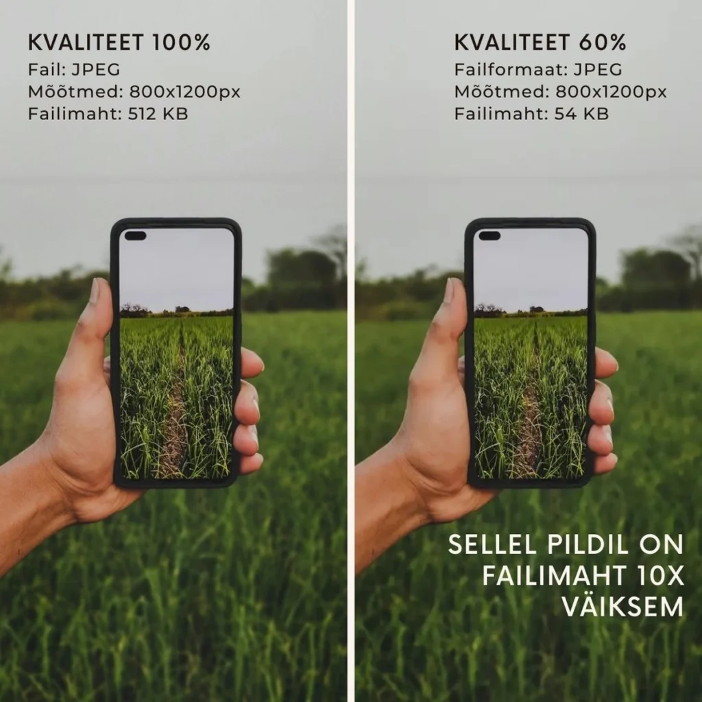 jepeg pildi failimaht oli 521 KB ja peale optimeerimist oli failimaht 54 KB. Piltide võrdlus mõõduga 800x1200px