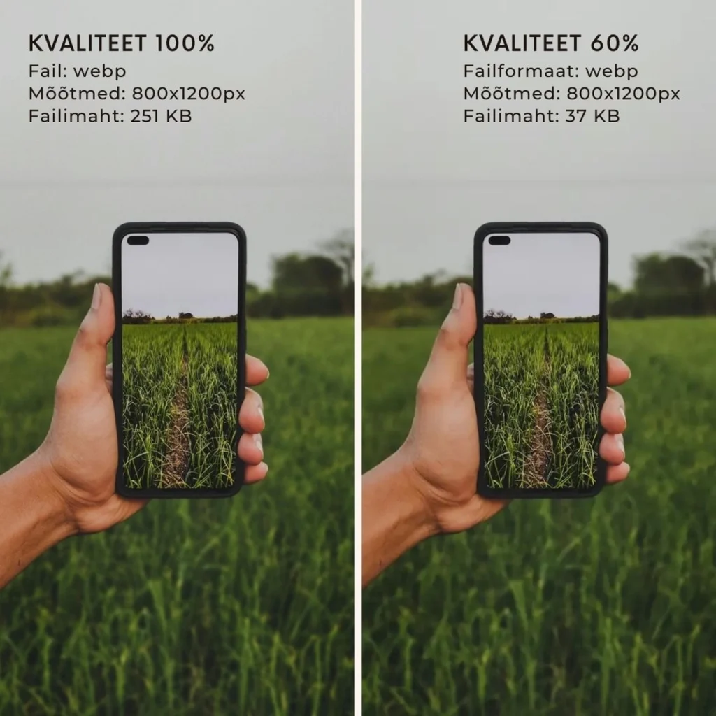 webp pildi failimaht oli 251 KB ja peale optimeerimist oli failimaht 37 KB. Piltide võrdlus mõõduga 800x1200px